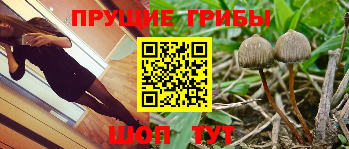 Галлюциногенные грибы ЛСД Среднеуральск