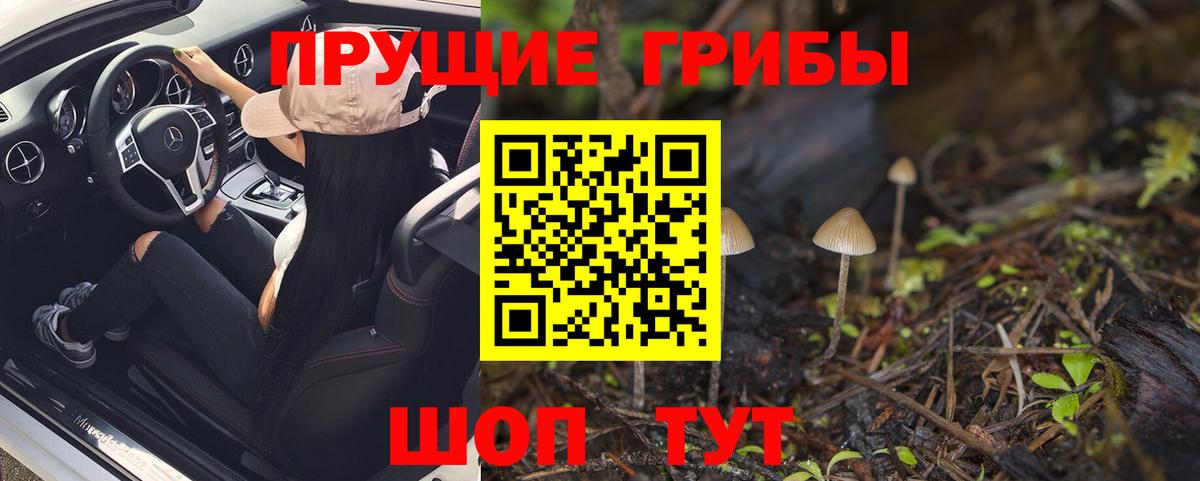 Среднеуральск  Псилоцибиновые грибы GOLDEN TEACHER  Вход с VPN 